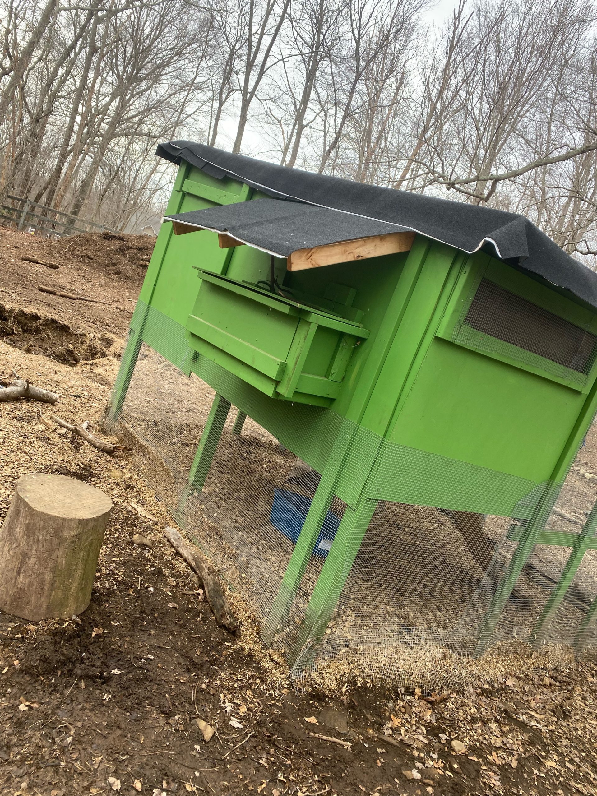 Bright green raised coop/tractor among bare woods, with a stump in the foreground.