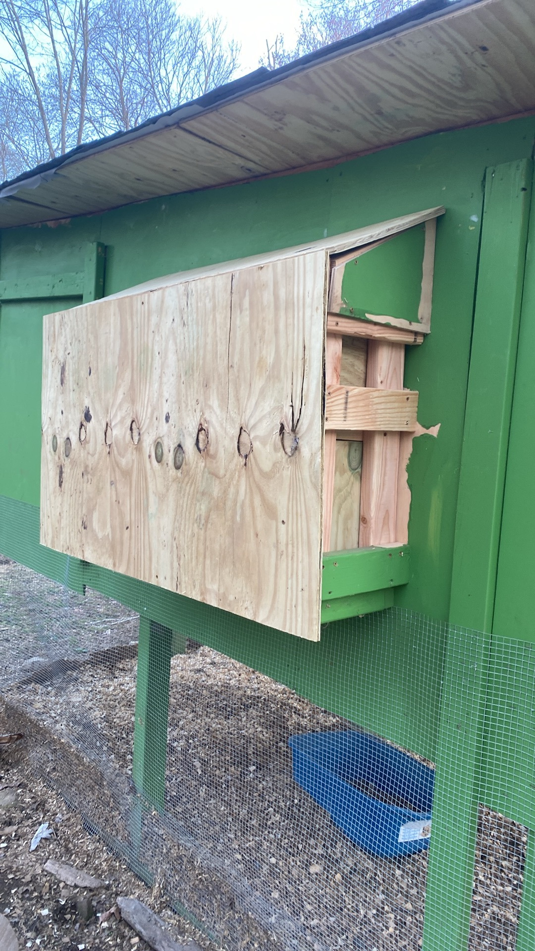 Green-painted coop with a raw plywood nesting box and wire run below.