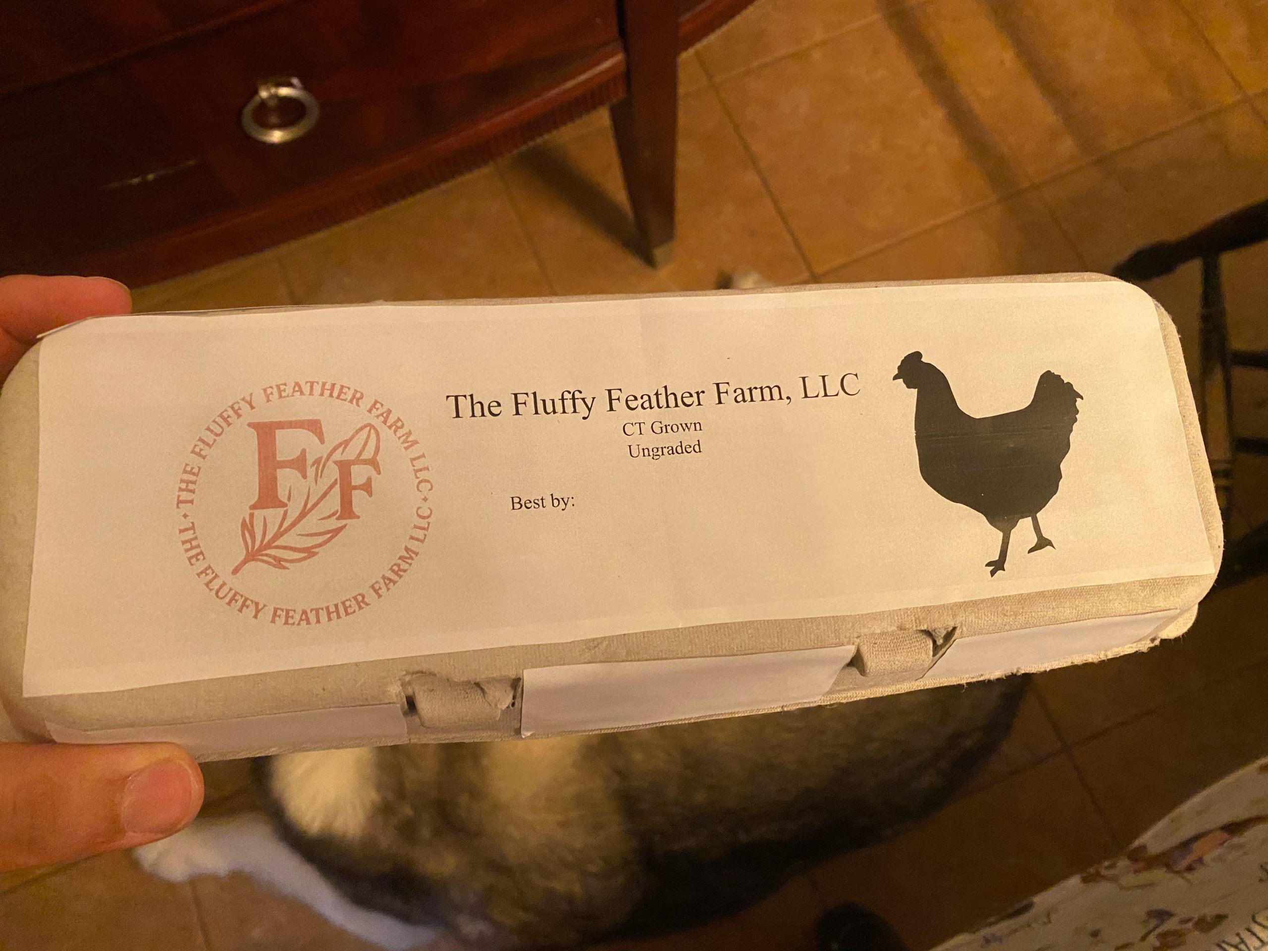 Closed Fluffy Feather Farm LLC egg carton labeled CT Grown and Ungraded, held indoors.